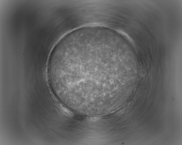 X0000073841278200609071531