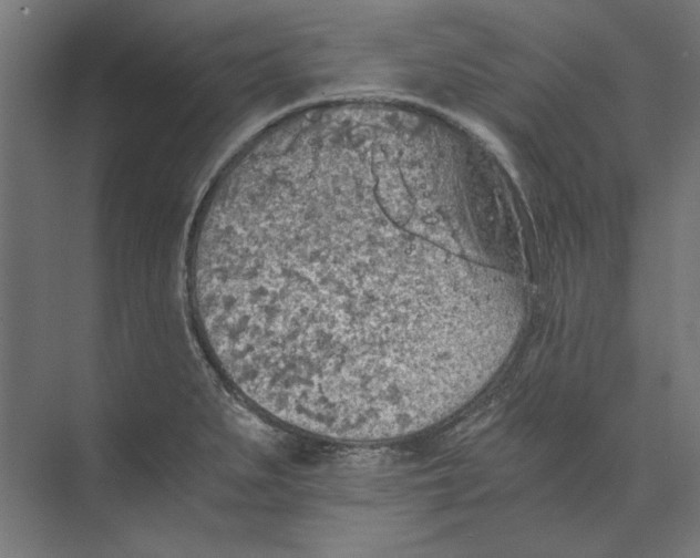 X0000073841279200609071531