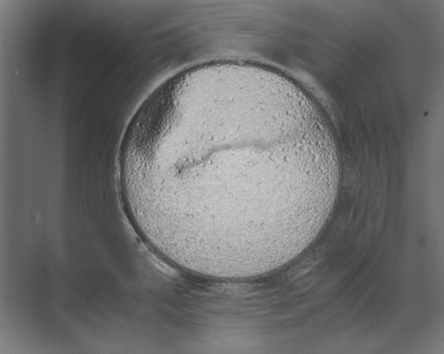 X0000073841287200609071531