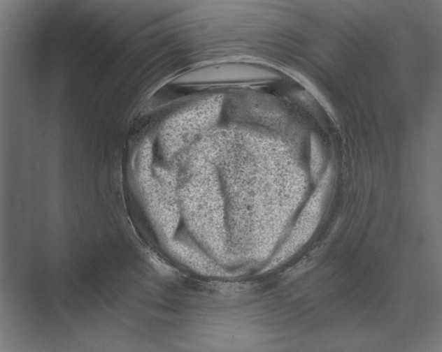 X0000073841289200609071531