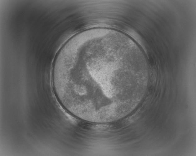 X0000073841290200609071531