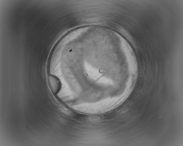 X0000073841291200609071531