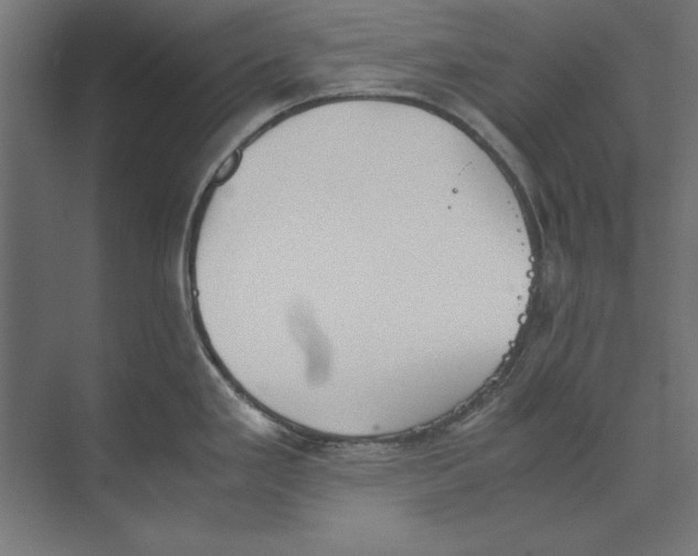 X0000073841293200609071531