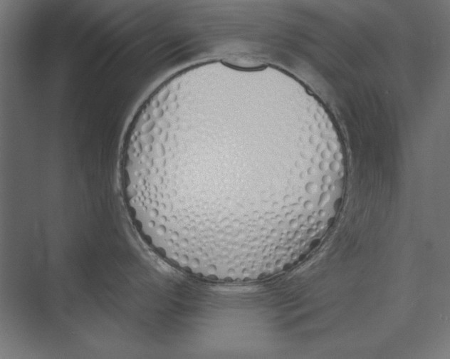 X0000073841296200609071531