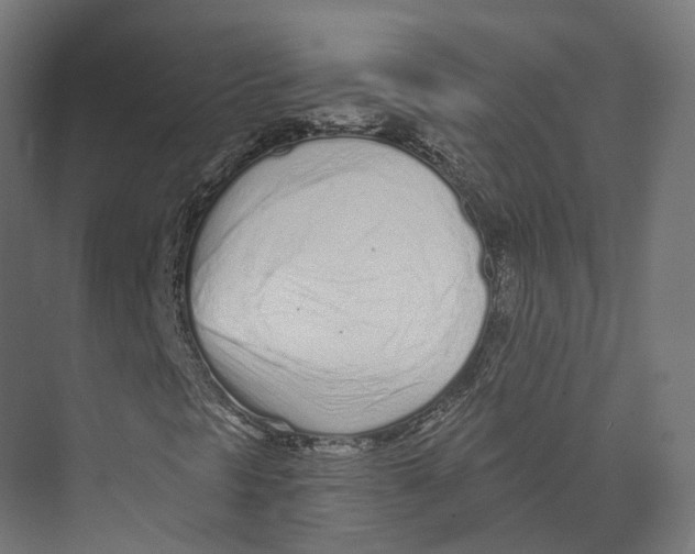 X0000073841297200609071530