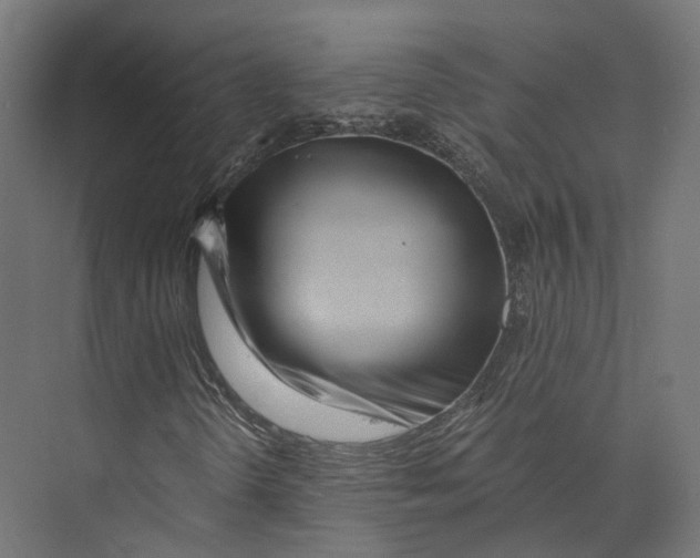 X0000073841298200609071530