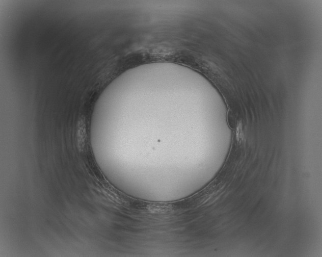 X0000073841299200609071530