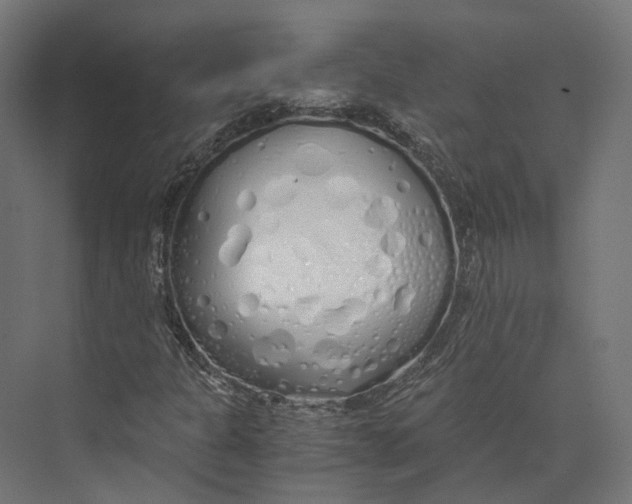 X0000073841301200609071530