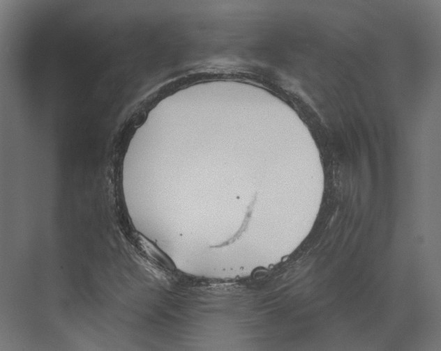 X0000073841304200609071530