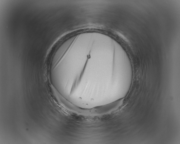 X0000073841310200609071530