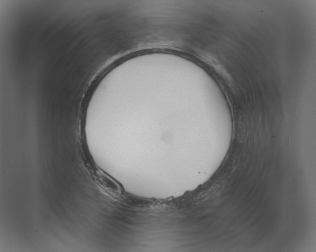 X0000073841316200609071531