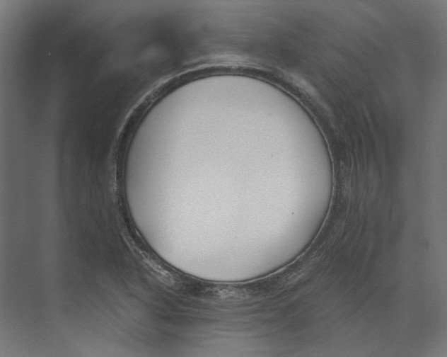 X0000073841318200609071531