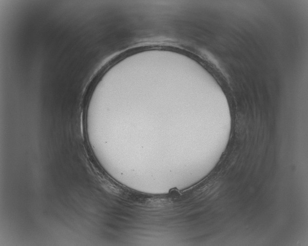 X0000073841320200609071531