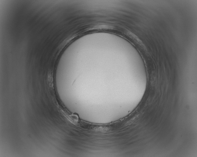 X0000073841321200609071531