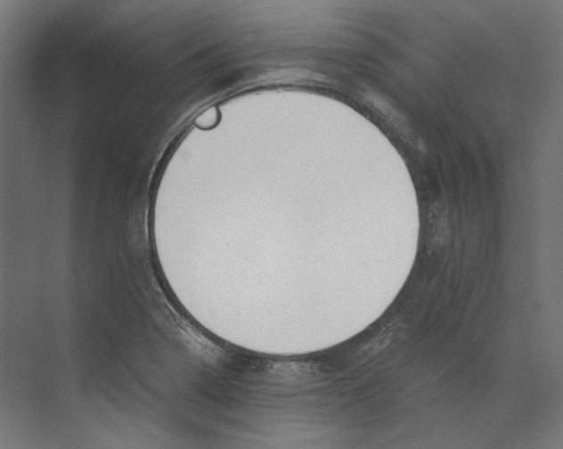 X0000073841322200609071531