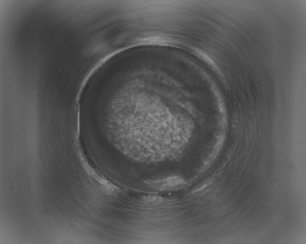 X0000073841323200609071531