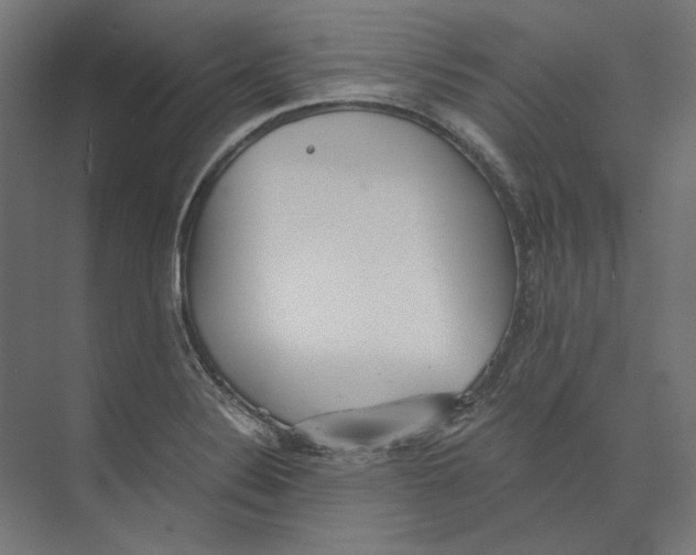 X0000073841324200609071531