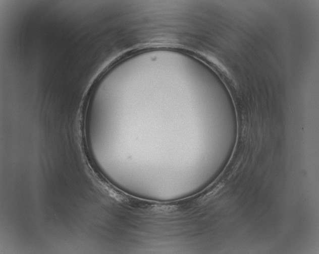 X0000073841325200609071531