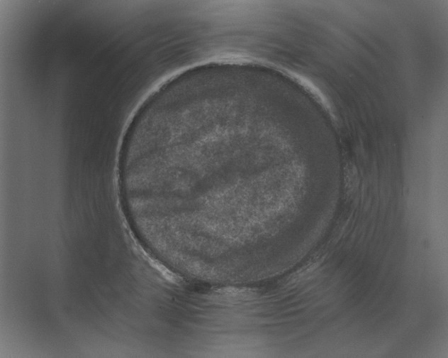 X0000073841327200609071531