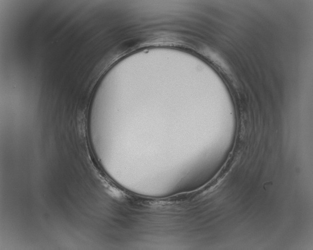 X0000073841329200609071531