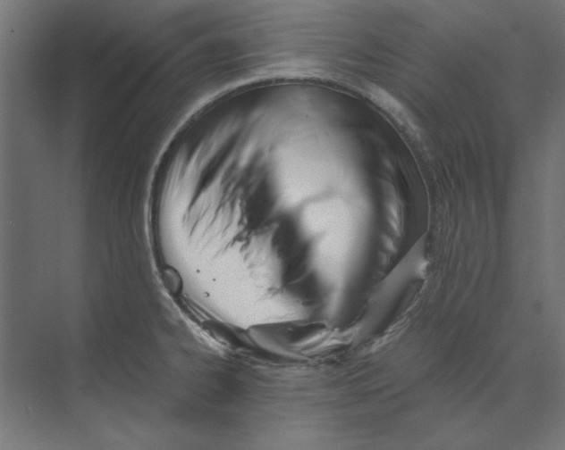 X0000073841334200609071531