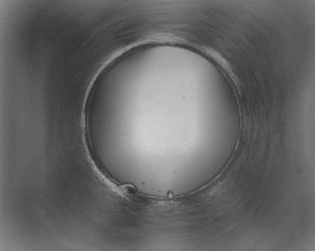 X0000073841335200609071531