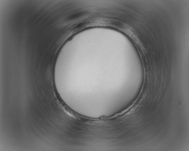 X0000073841337200609071531