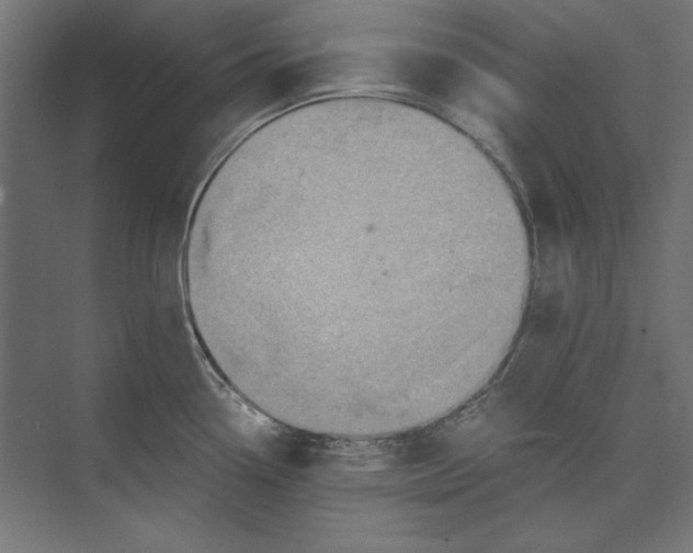 X0000073841338200609071531