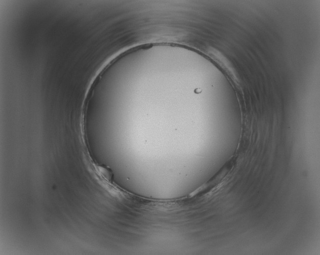 X0000073841340200609071531