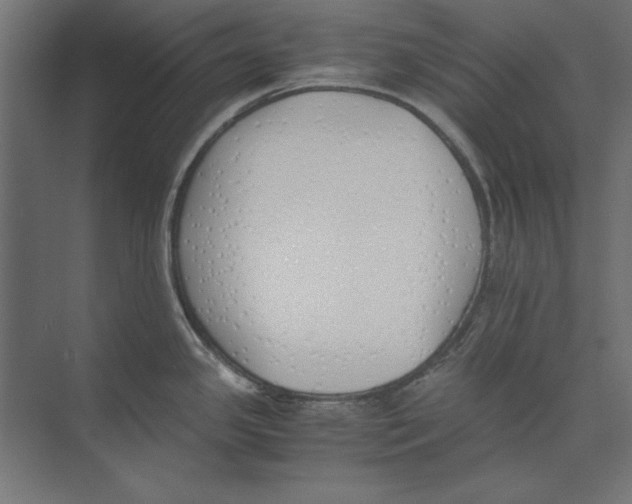 X0000073841341200609071531