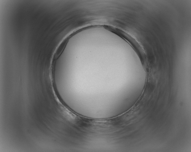 X0000073841342200609071531