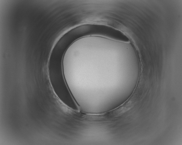 X0000073841344200609071531