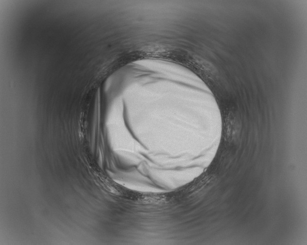 X0000073841346200609071530