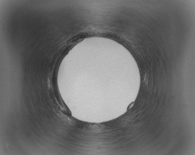 X0000073841348200609071530