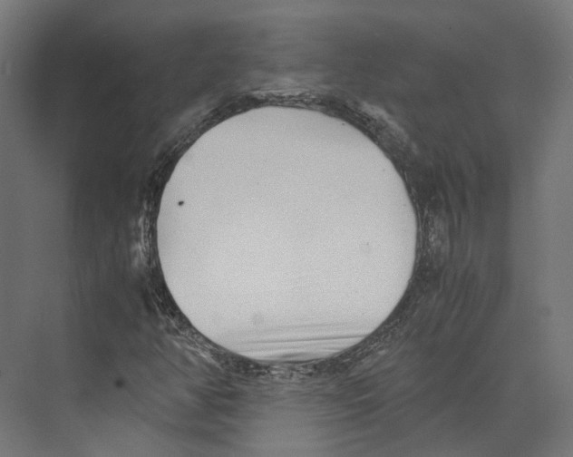 X0000073841350200609071530