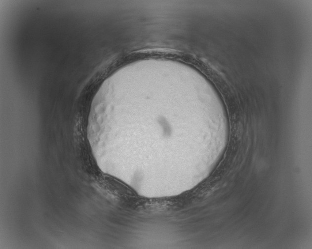 X0000073841351200609071530