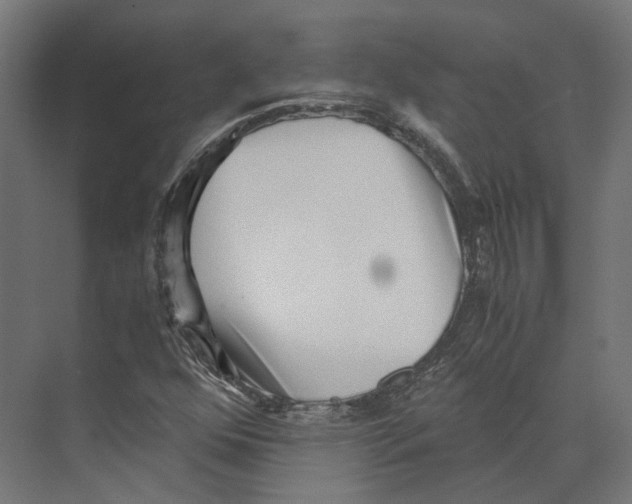 X0000073841352200609071530