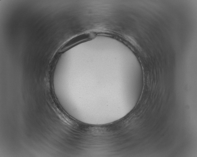 X0000073841356200609071530