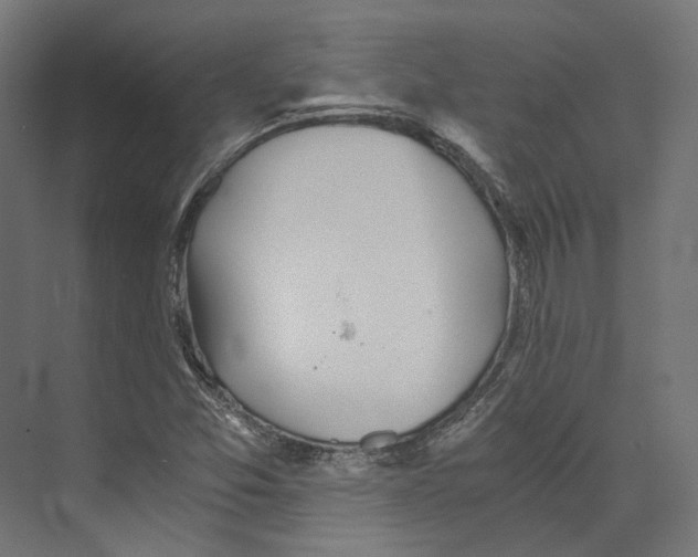 X0000073841357200609071530