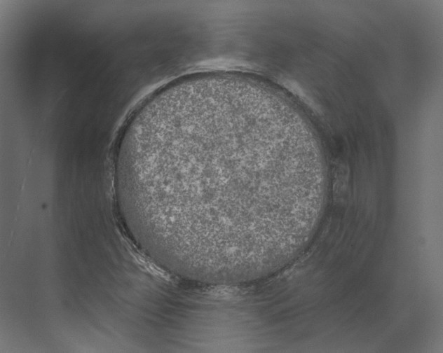 X0000073841358200609071530