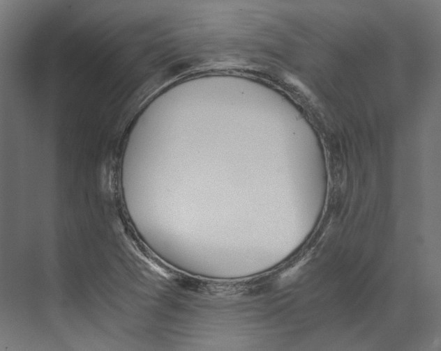 X0000073841361200609071530