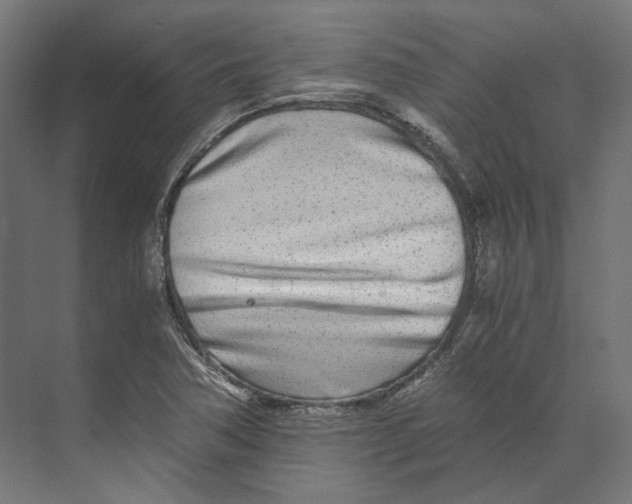 X0000073841362200609071530