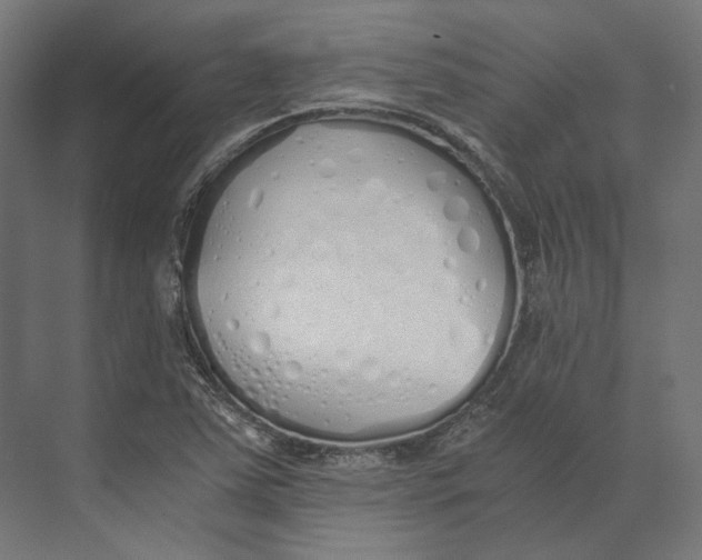 X0000073841363200609071530