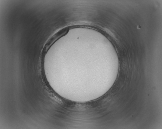 X0000073841364200609071530