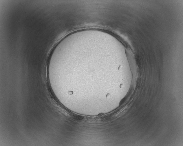 X0000073841365200609071530