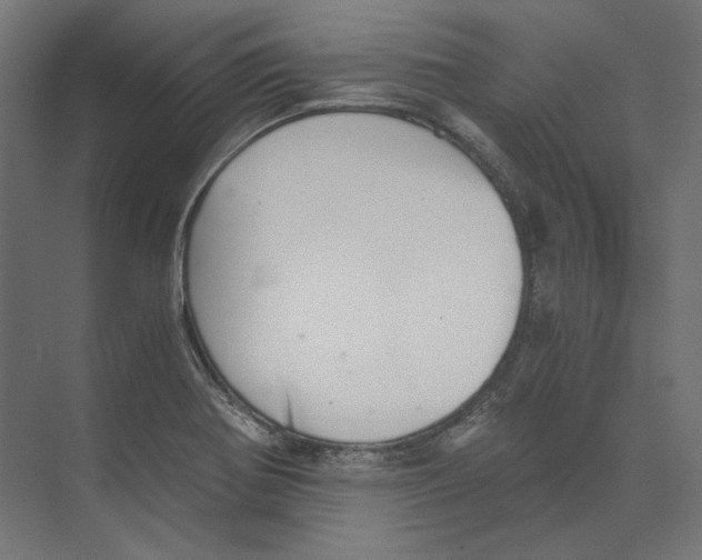 X0000073841370200609071530