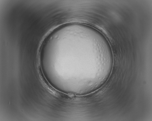 X0000073841371200609071530