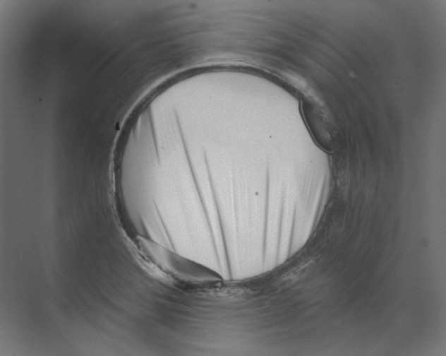 X0000073841372200609071530