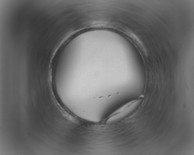 X0000073841376200609071530