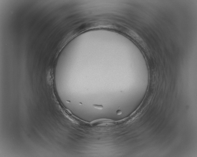 X0000073841377200609071530